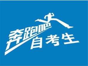 深圳寶安學歷提升全攻略 自考、成考、網絡教育對比與選擇