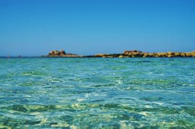 表明!當(dāng)前廣州試管助孕中心?